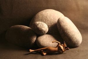 Stilleben mit Frosch und Steinen vor schwarzem Hintergrund